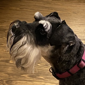 Fundraising Page: Amy Marschean